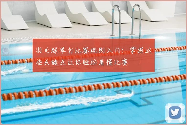 羽毛球单打比赛规则入门：掌握这些关键点让你轻松看懂比赛